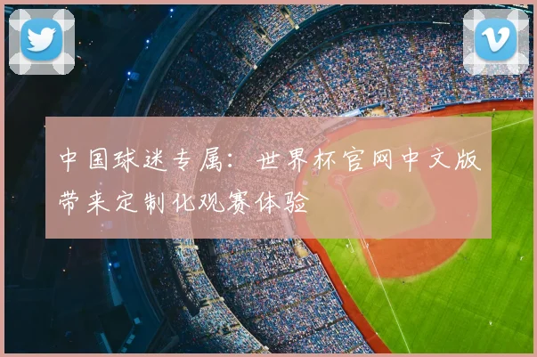 中国球迷专属:世界杯官网中文版带来定制化观赛体验