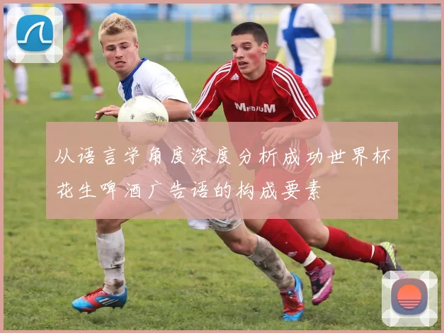 从语言学角度深度分析成功世界杯花生啤酒广告语的构成要素